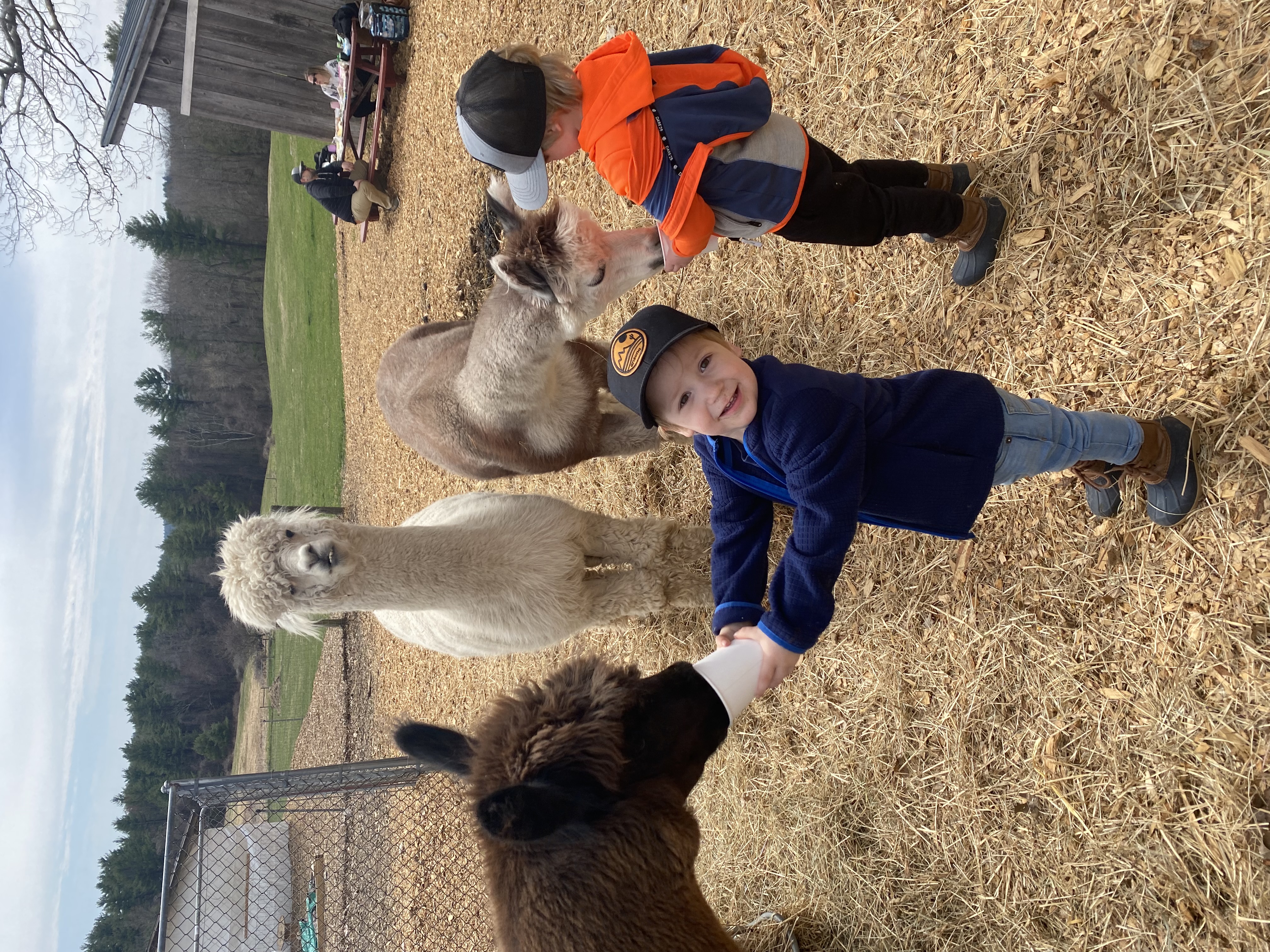 Kids at Joppa Hill Farm